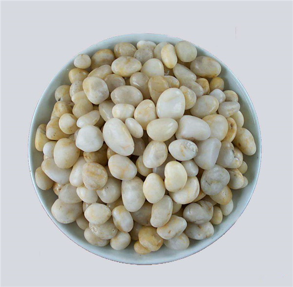 荔枝视频app下载最新版滤料